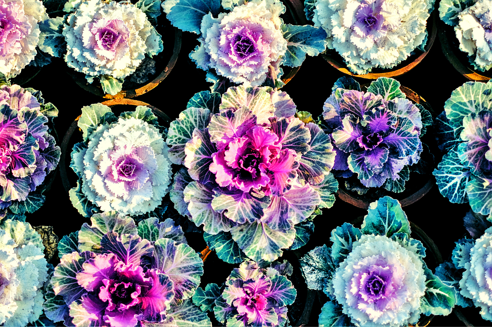 7 ways to refresh and recharge yourself, reduce stress and boost your energy