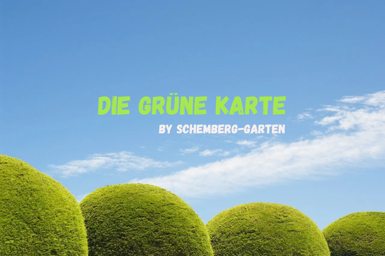 Schemberg Garten- und Landschaftsbau Werdohl