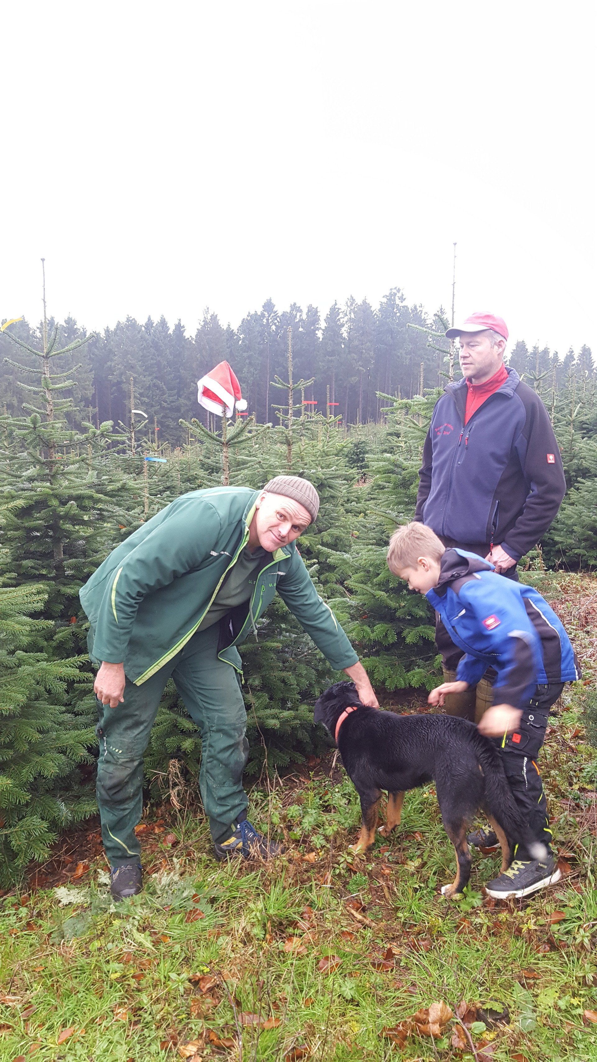 Schemberg Garten- und Landschaftsbau Werdohl