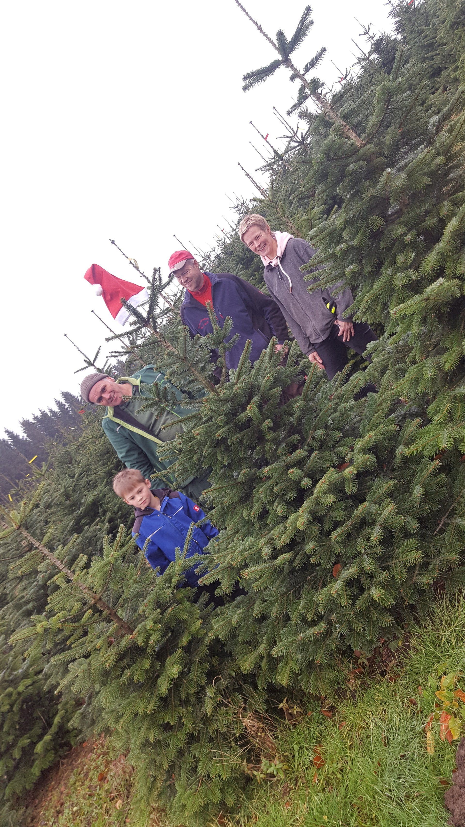Schemberg Garten- und Landschaftsbau Werdohl