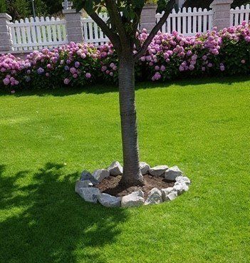 Grünpflege Gartengestaltung Rollrasen Rasen