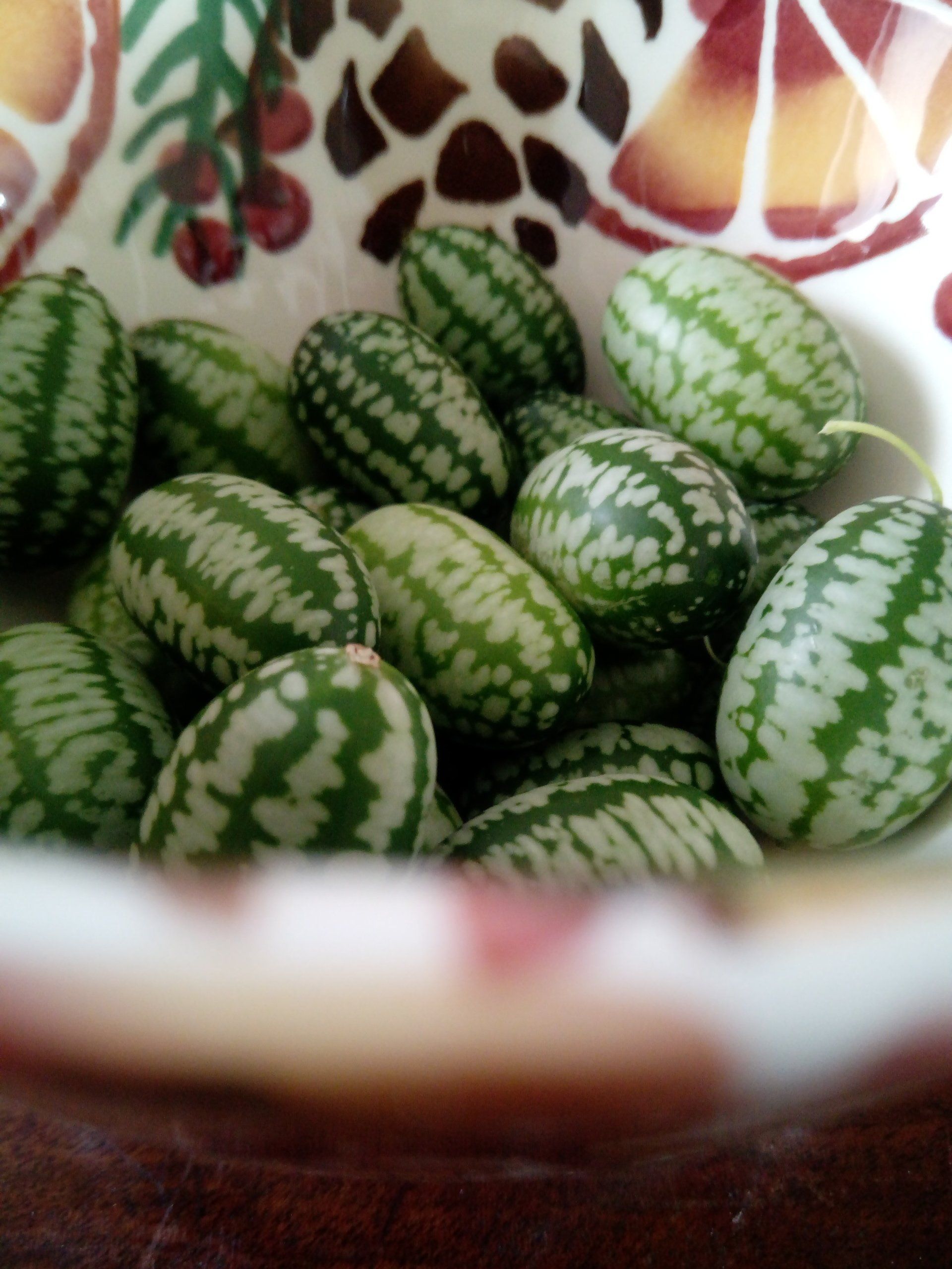 A bowl of Cucamelons