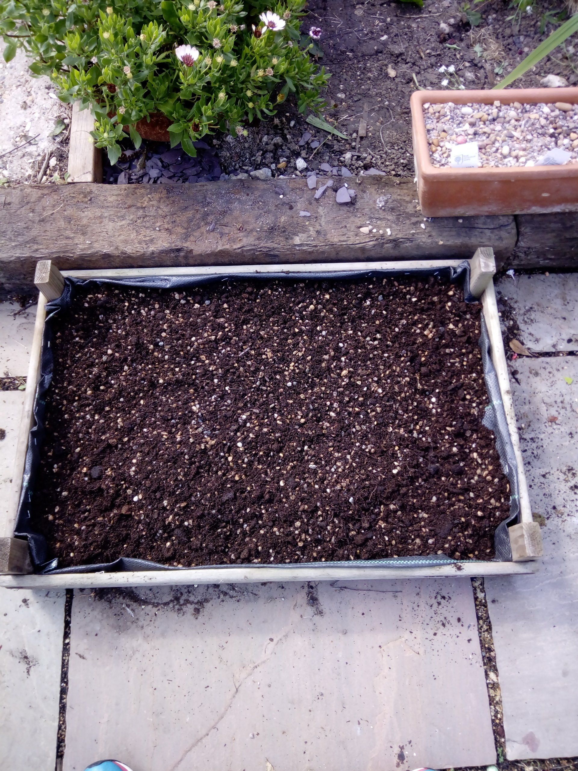 Add a well drained compost