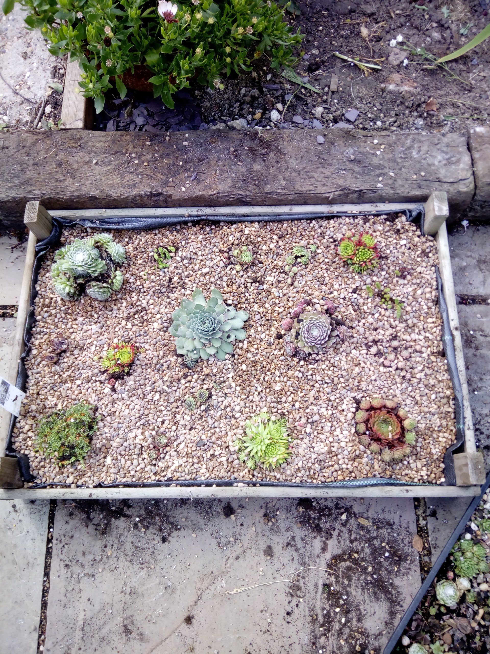 Add a decorative gravel