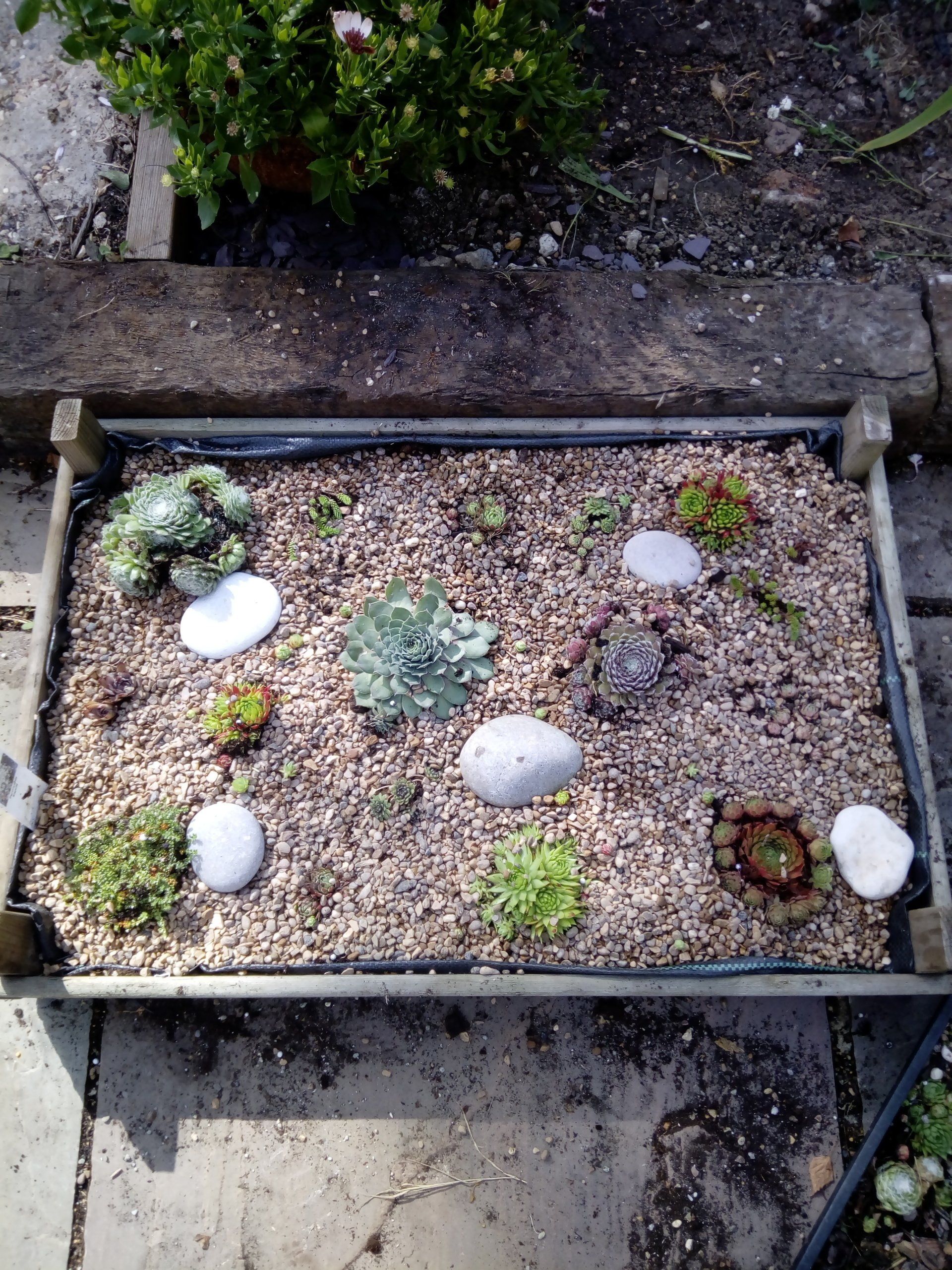 Add attractive rocks or stones