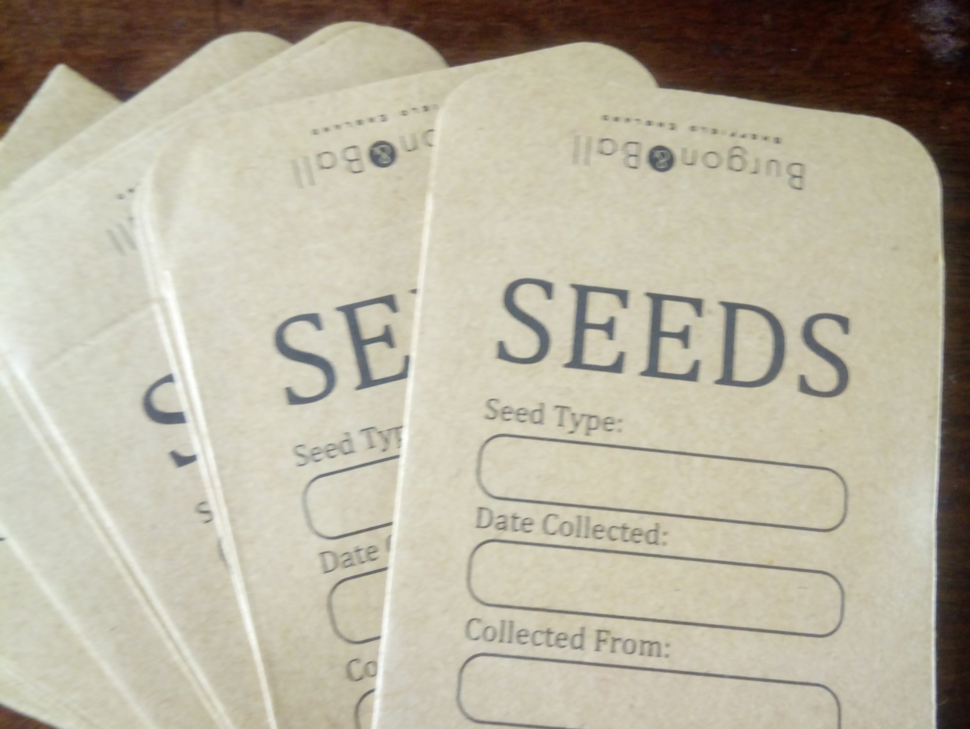 Collect and Store your Own Seed