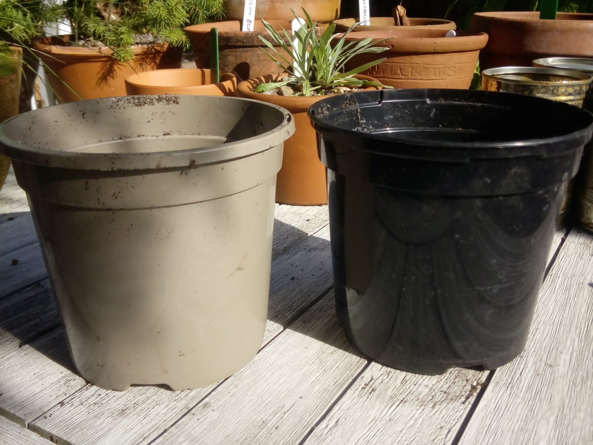 Taupe Pots - What's the Big Deal