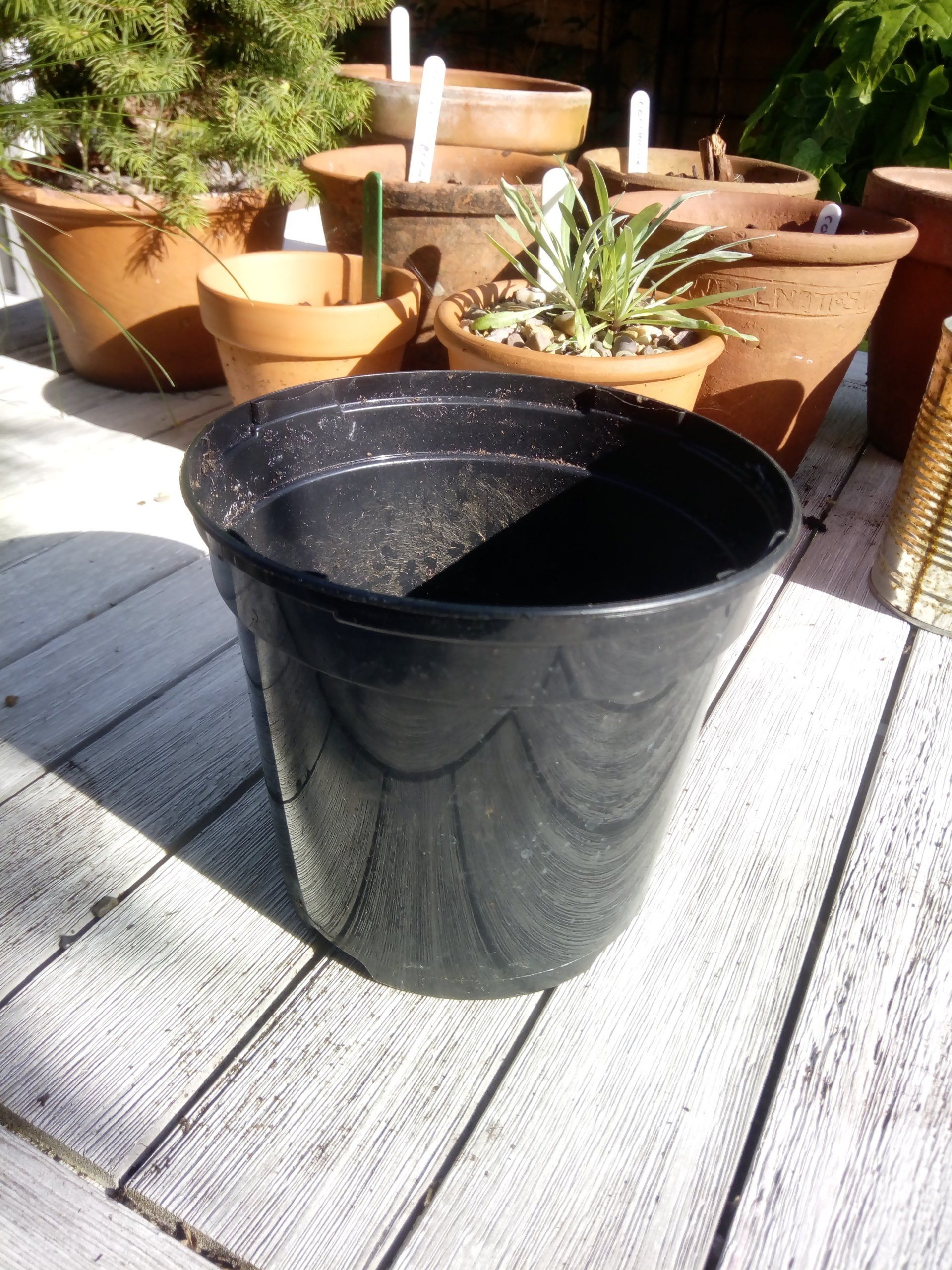 Black Plastic Pot