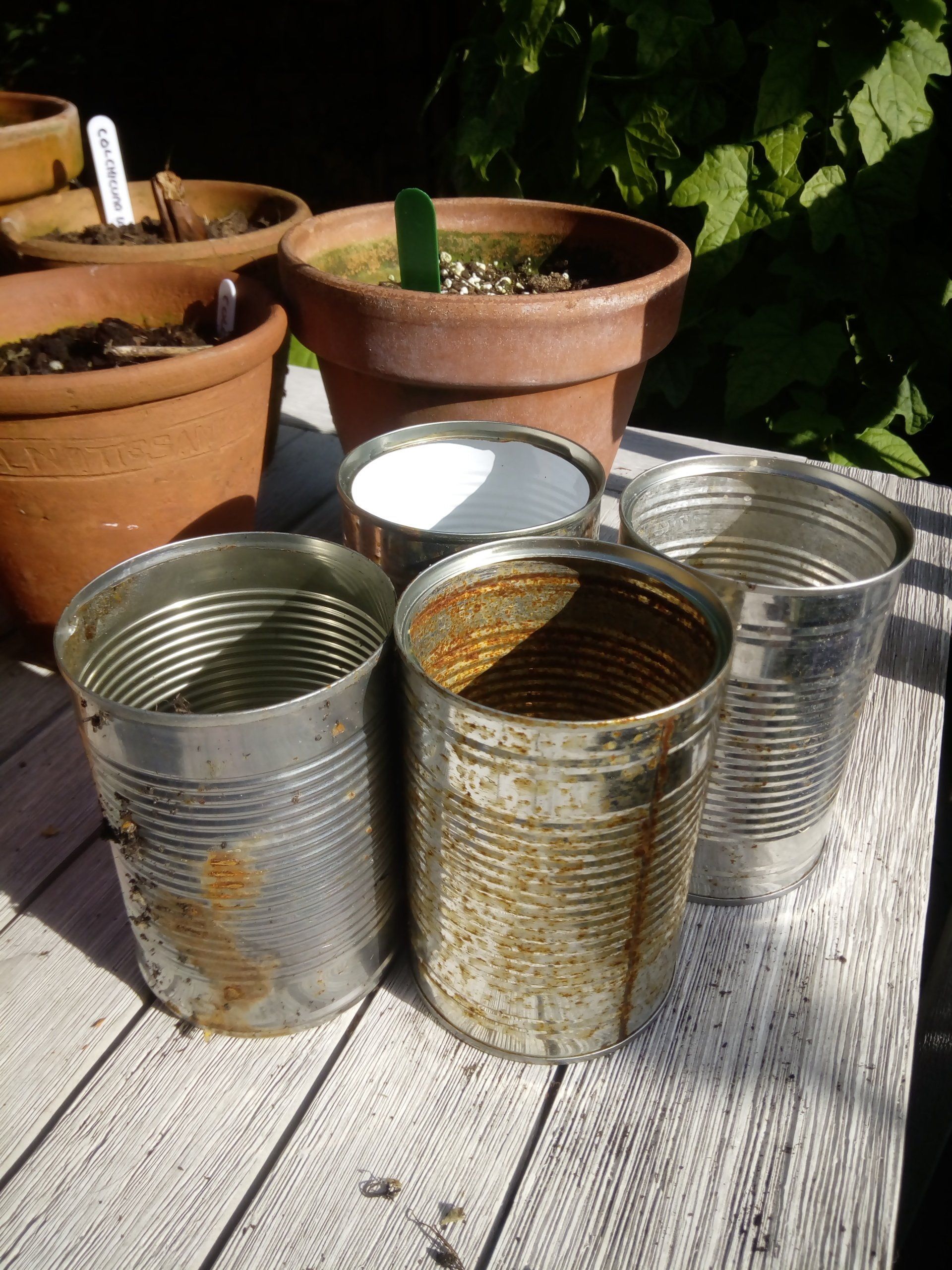 Tin can pots