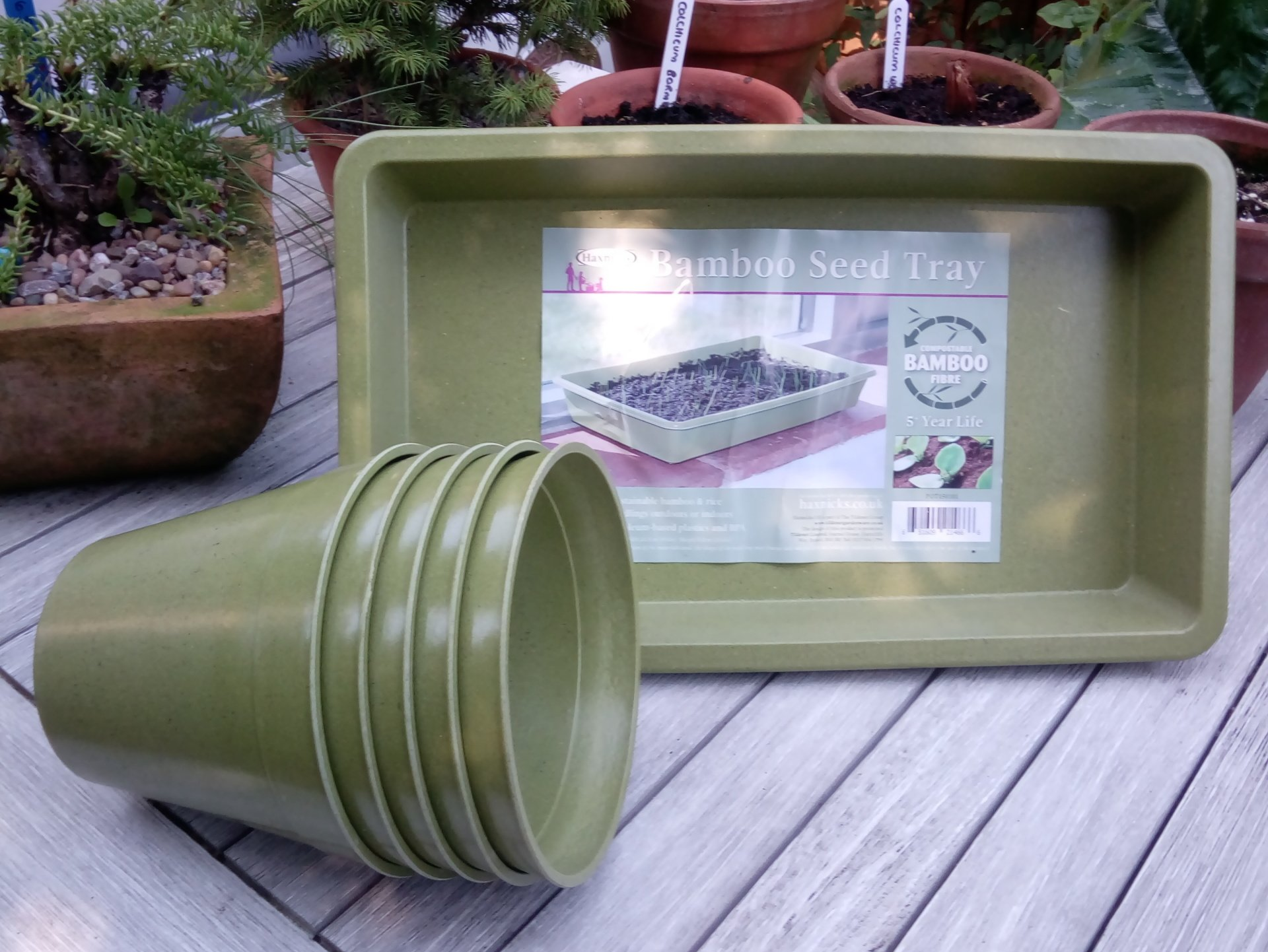 Bamboo Pots - An Alternative to Plastic