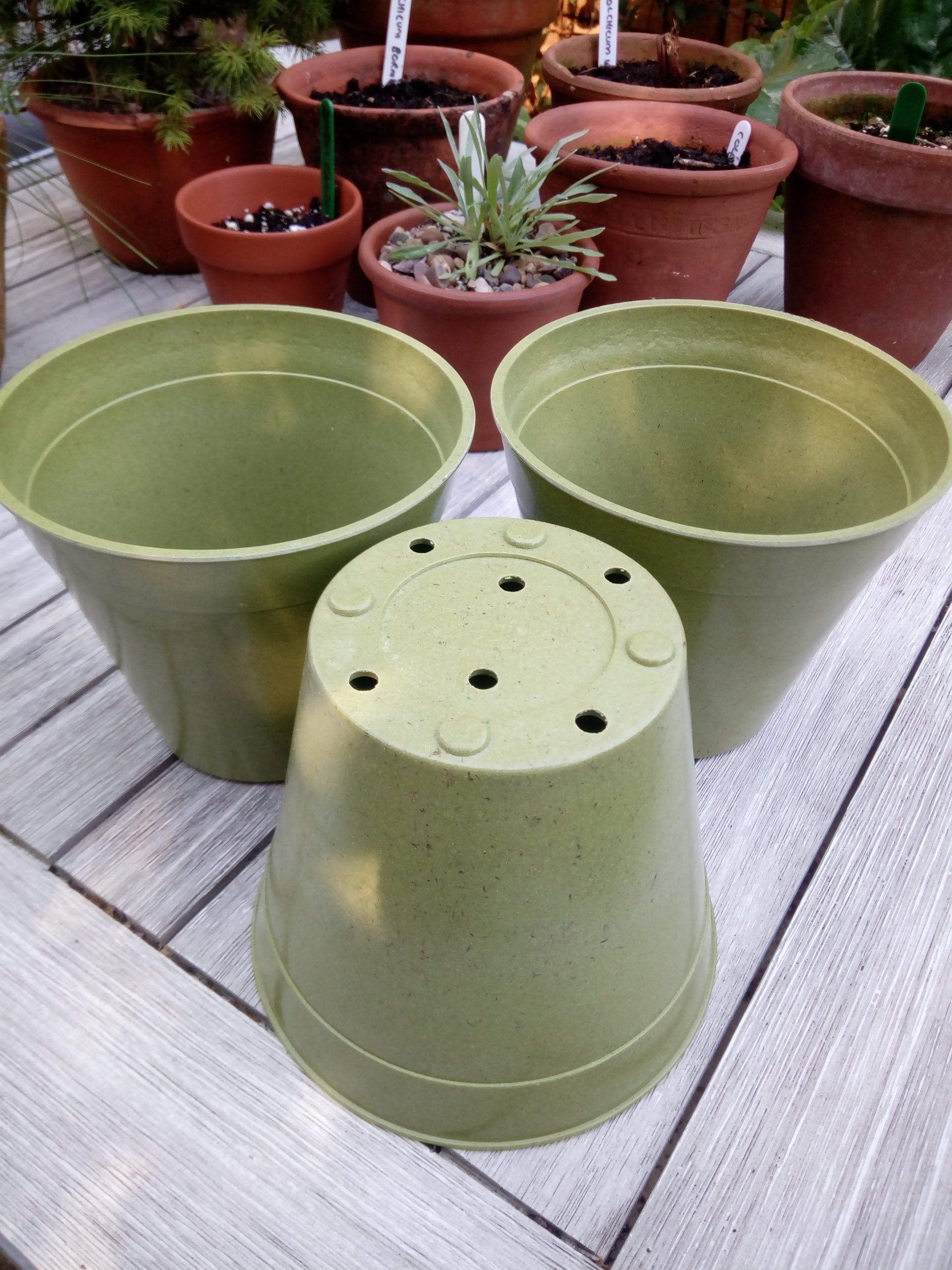 Green Bamboo Pots