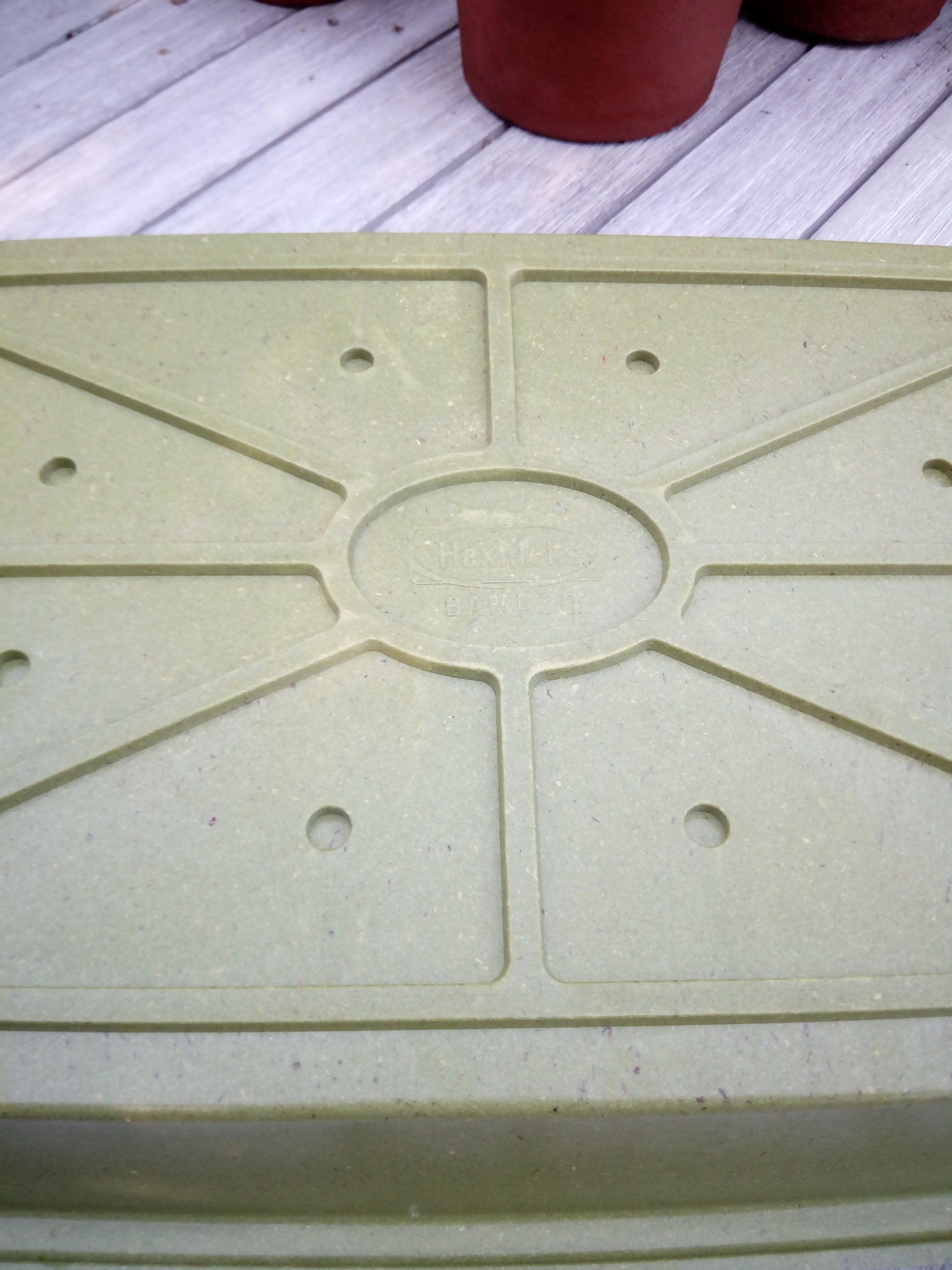 Green Bamboo Seed Tray - Drainage Holes