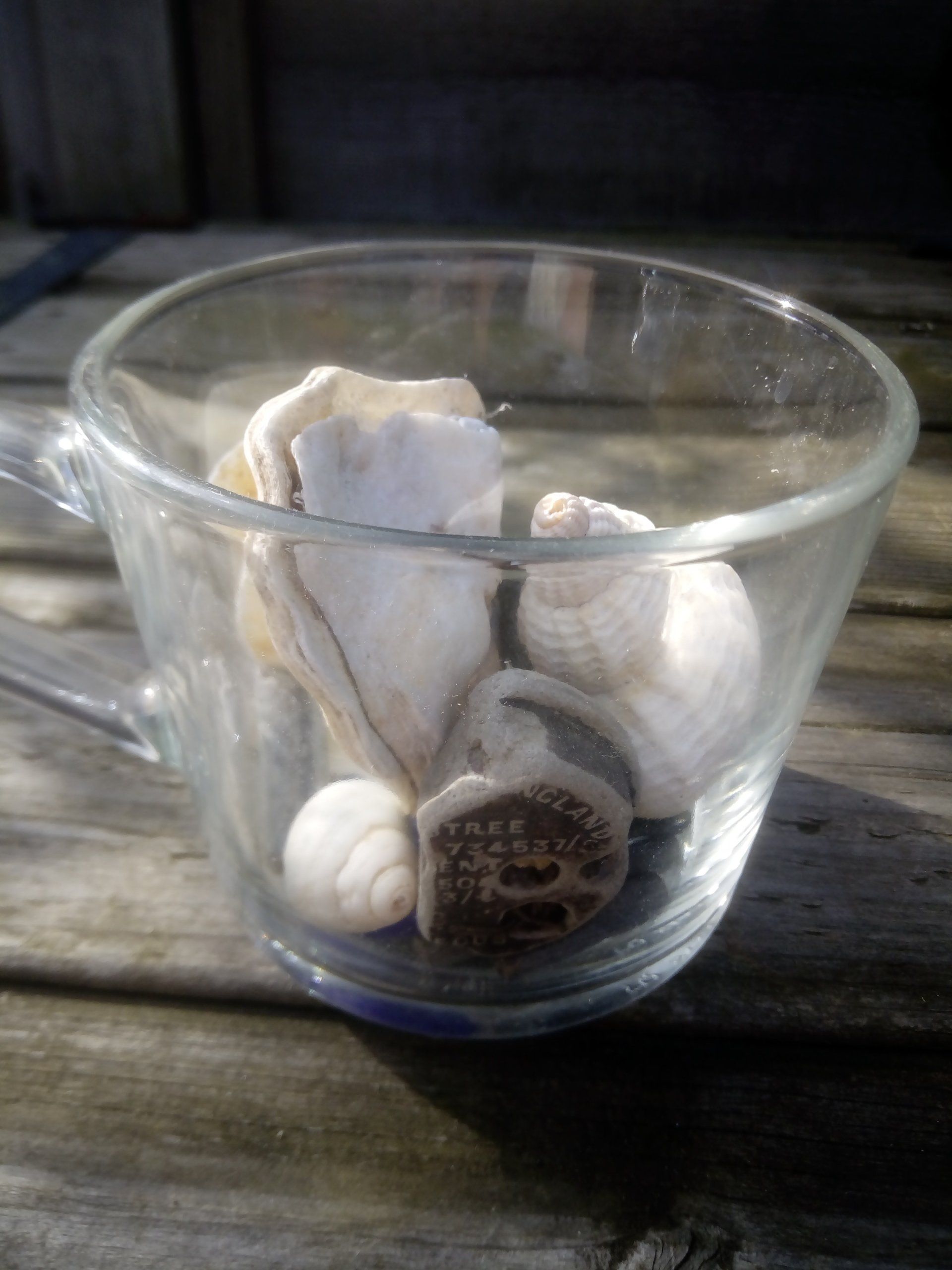 Glass cup for an Air Plant Arrangement