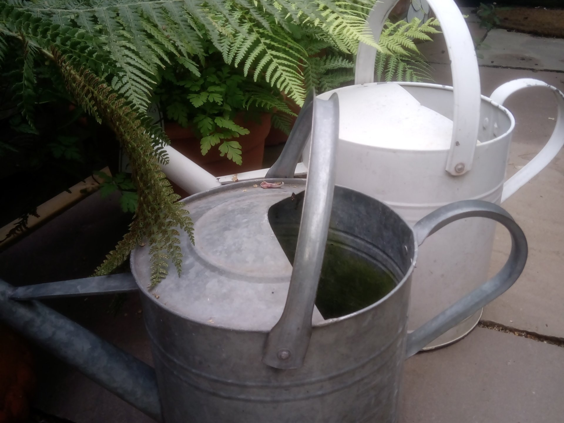 How to Save Water in the Garden