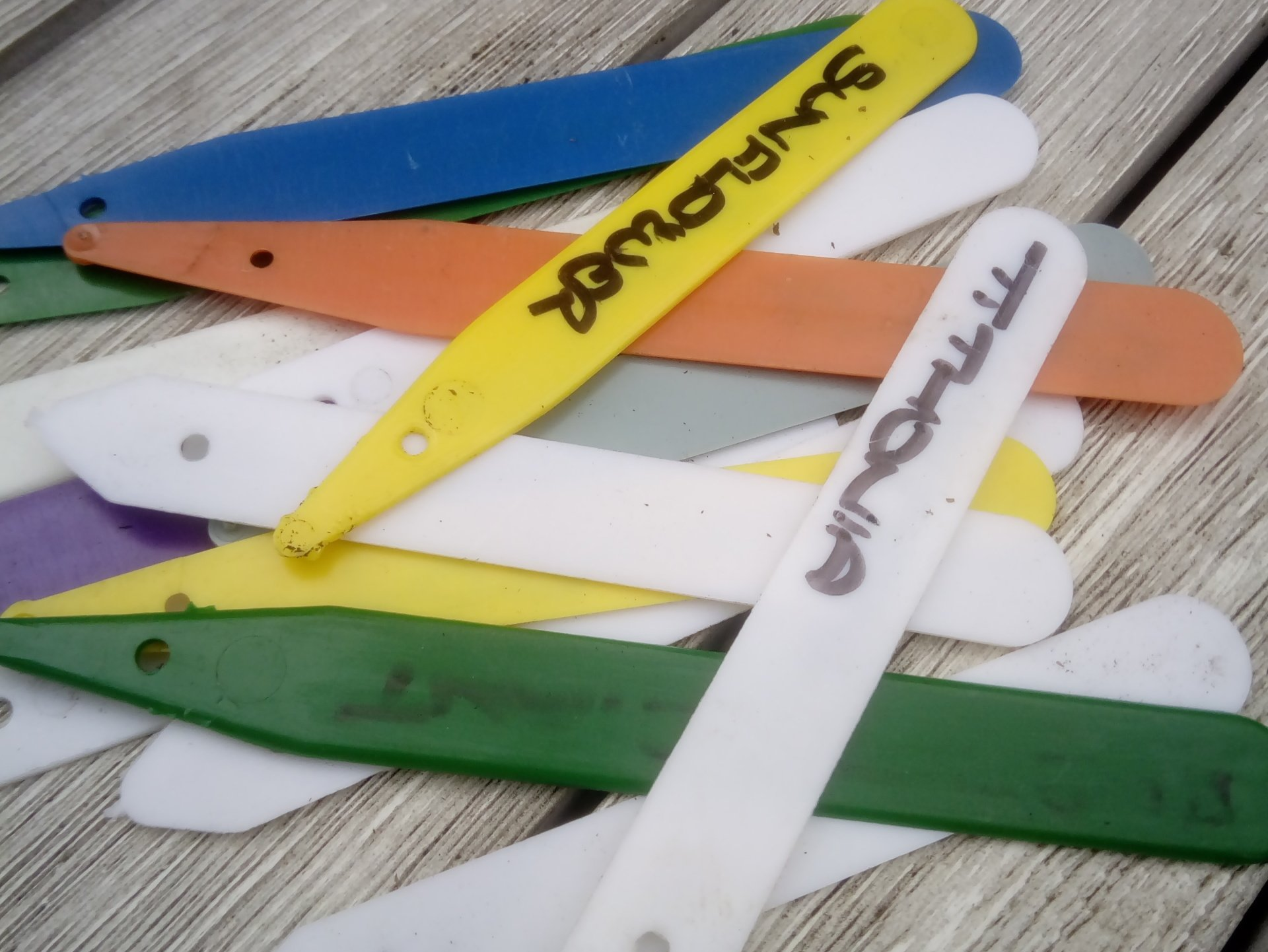 Plant Labels without resorting to plastic