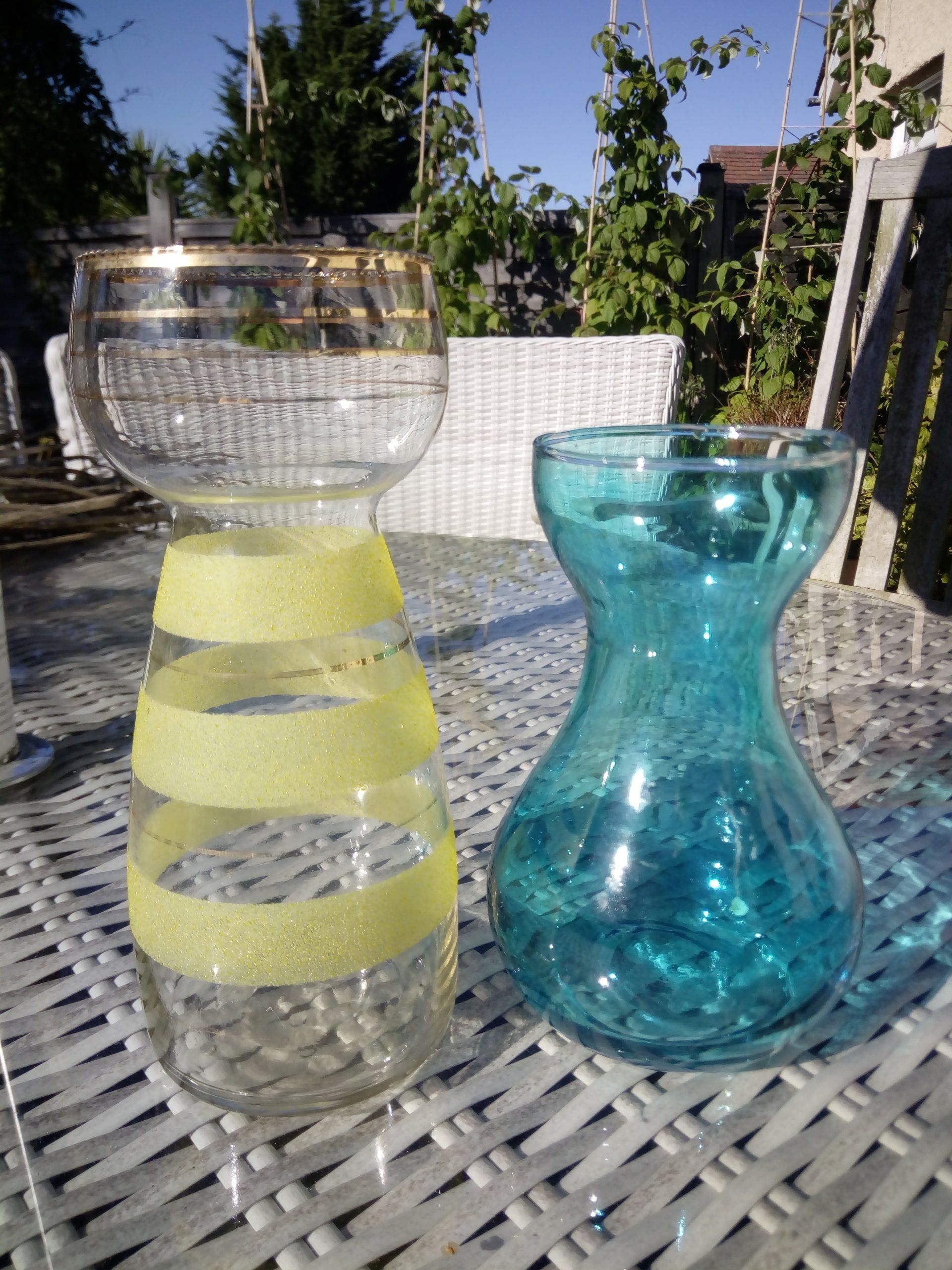 Glass Bulb Vases for Prepared Hyacinths