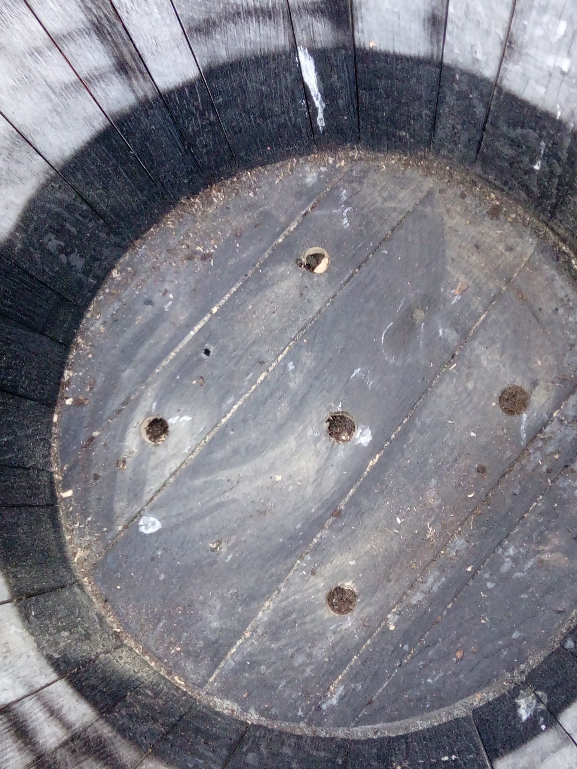 Five Holes drilled equidistant in a wooden whisky barrel