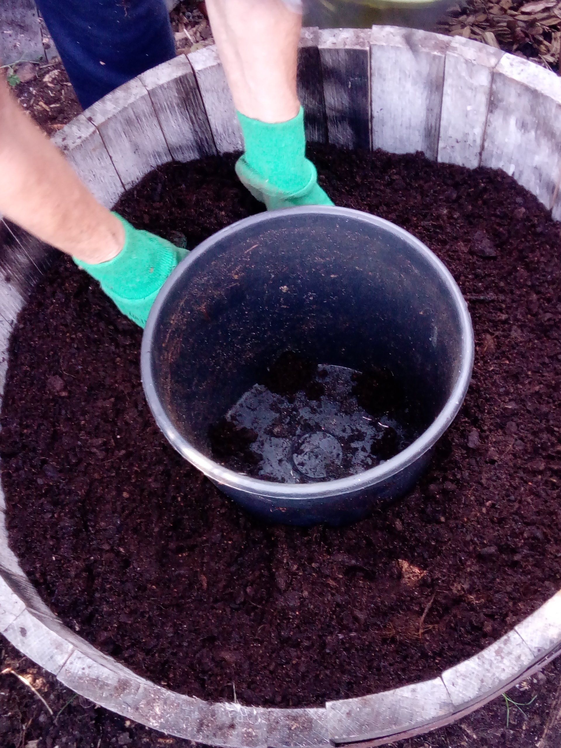 Wooden Barrel with pot for planting