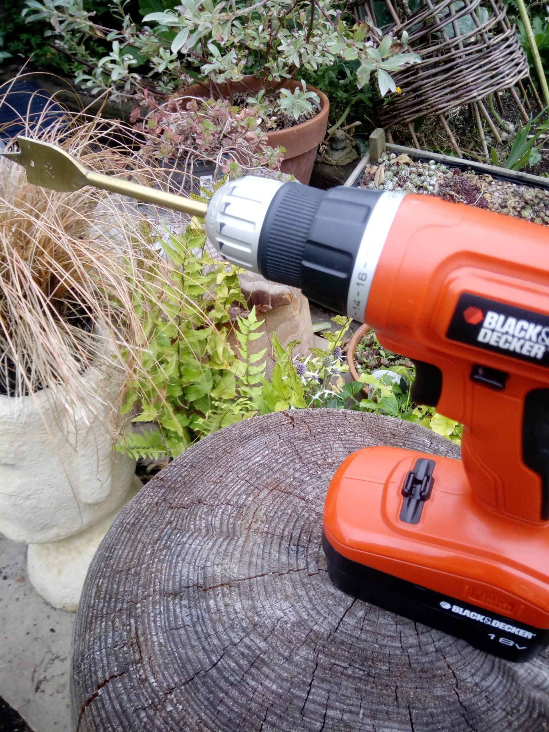 Cordless Drill with Flat Wood Bit