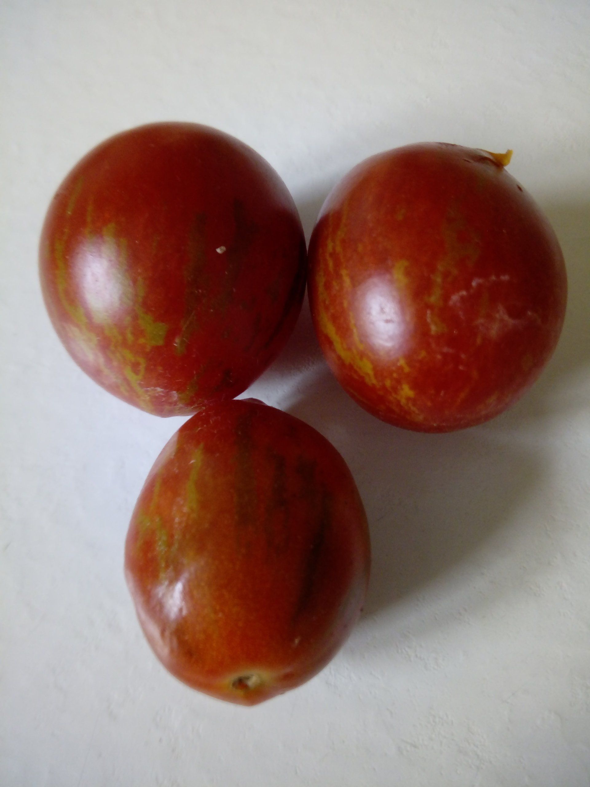 Ripe Tomatoes