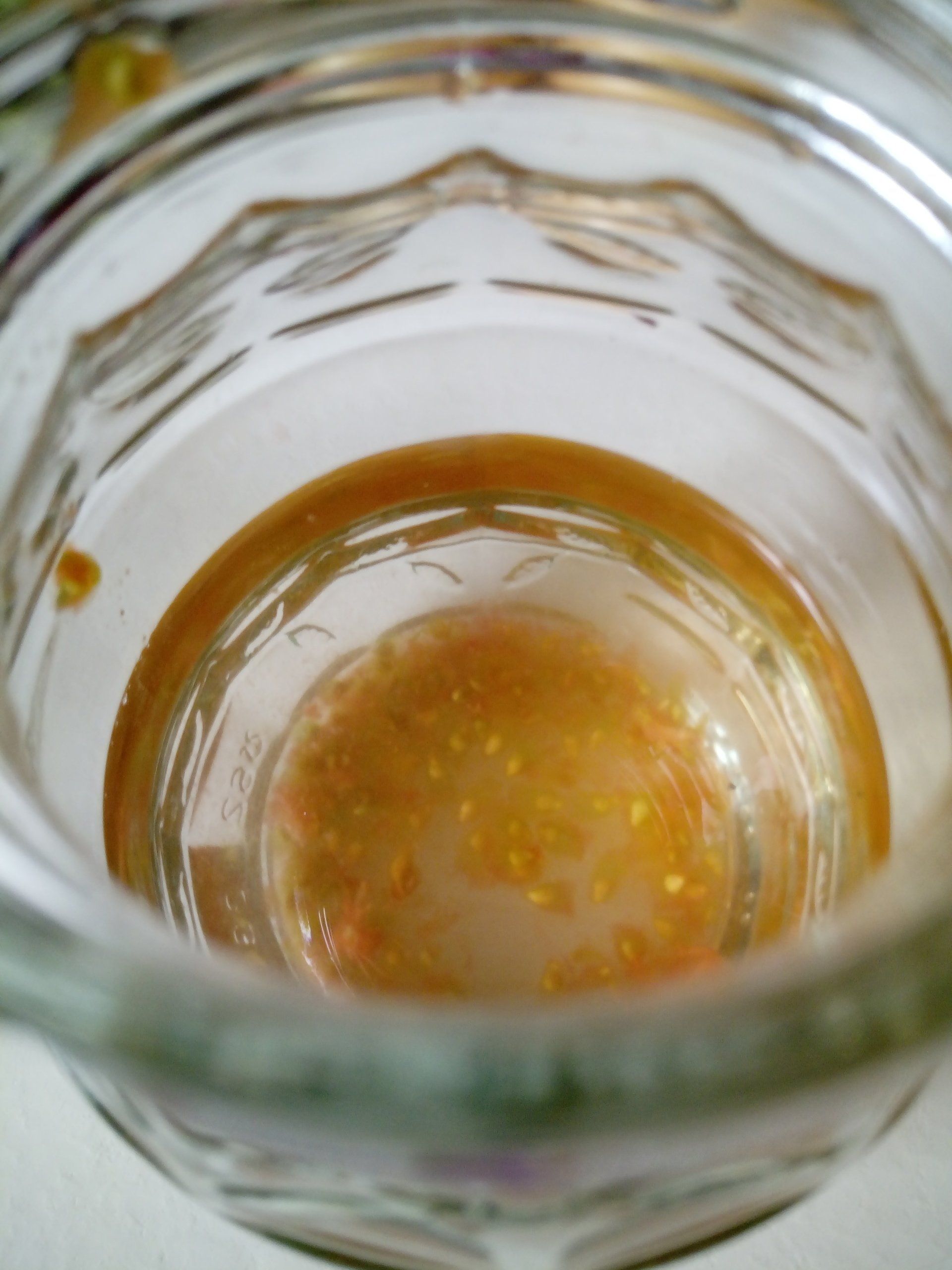 Tomato Seeds Fermenting in Water at the Bottom of the Jam Jar