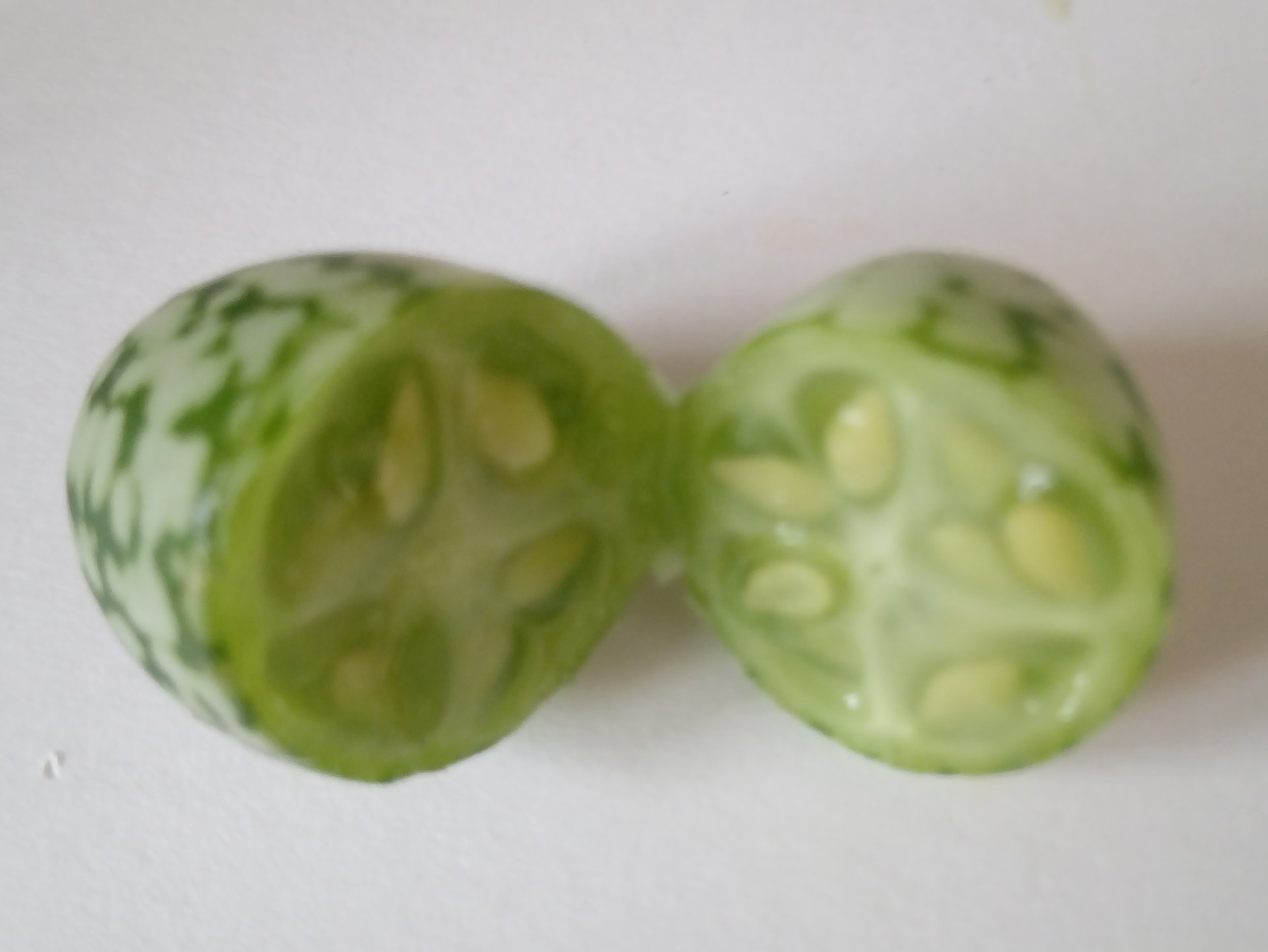 Cucamelon Cut in Half - Saving Seed Air Drying