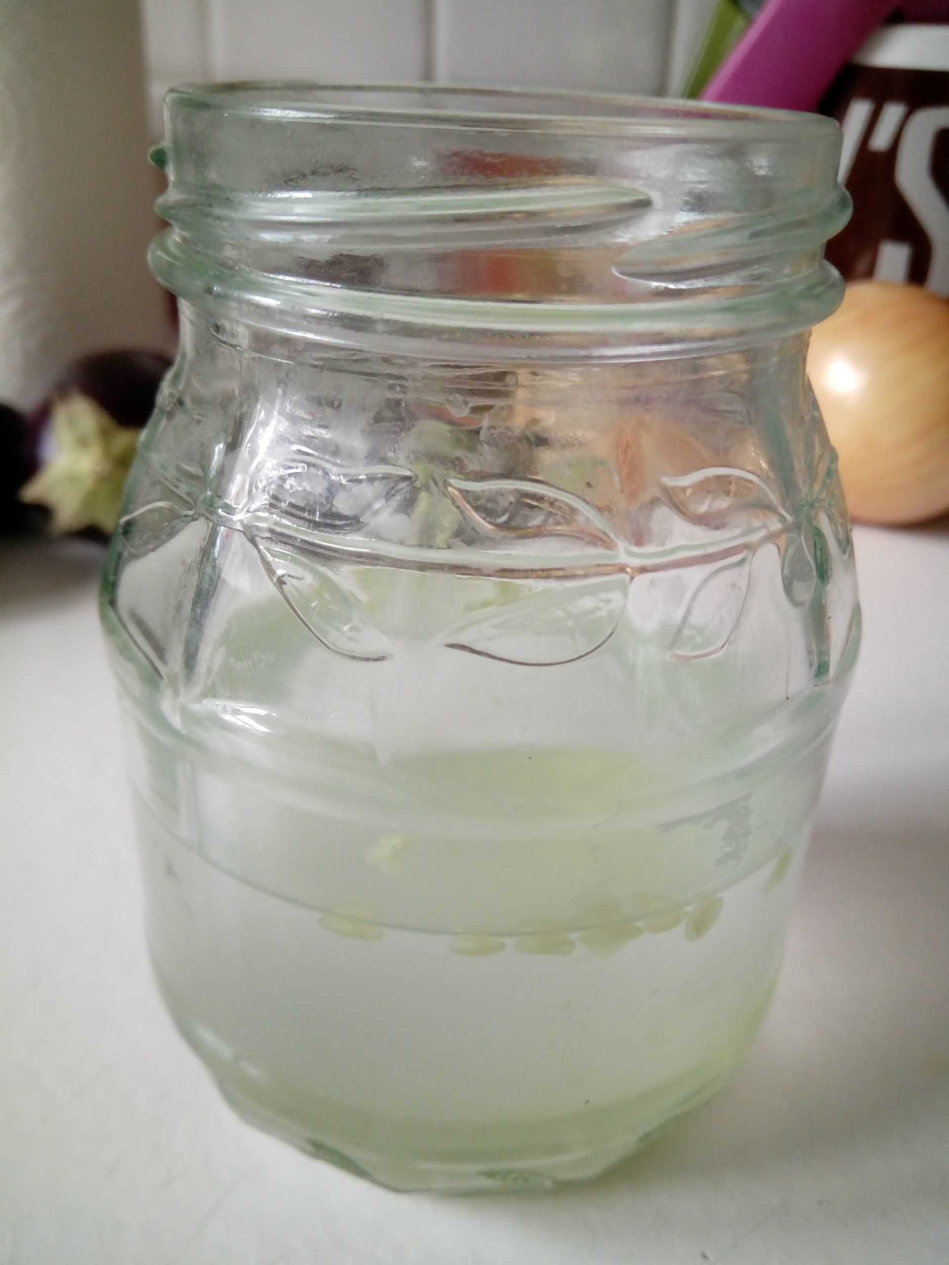 Cucamelon Seeds Fermenting in the Water in the Bottom of  a Jam Jar