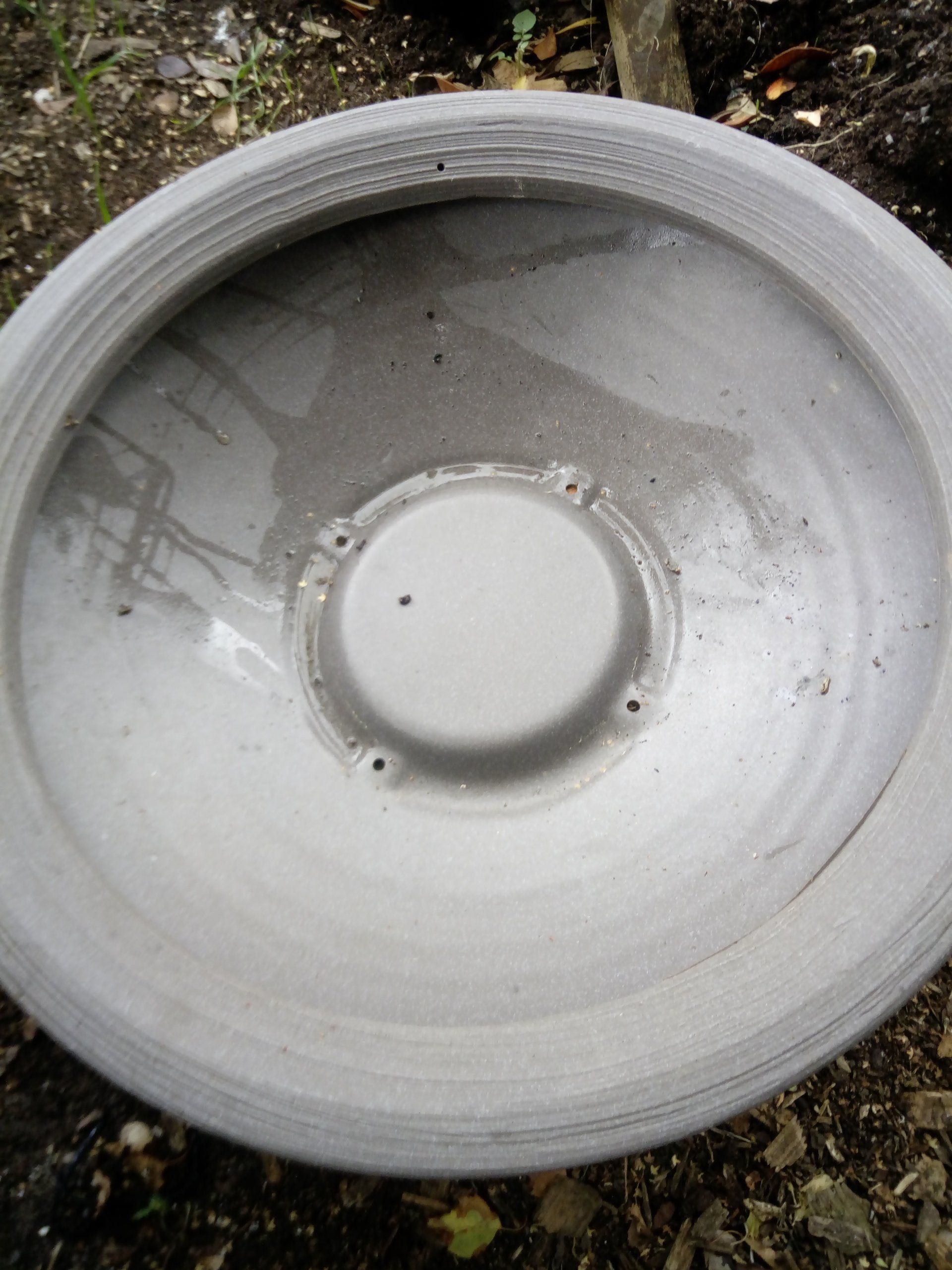 Shallow Bulb Bowl