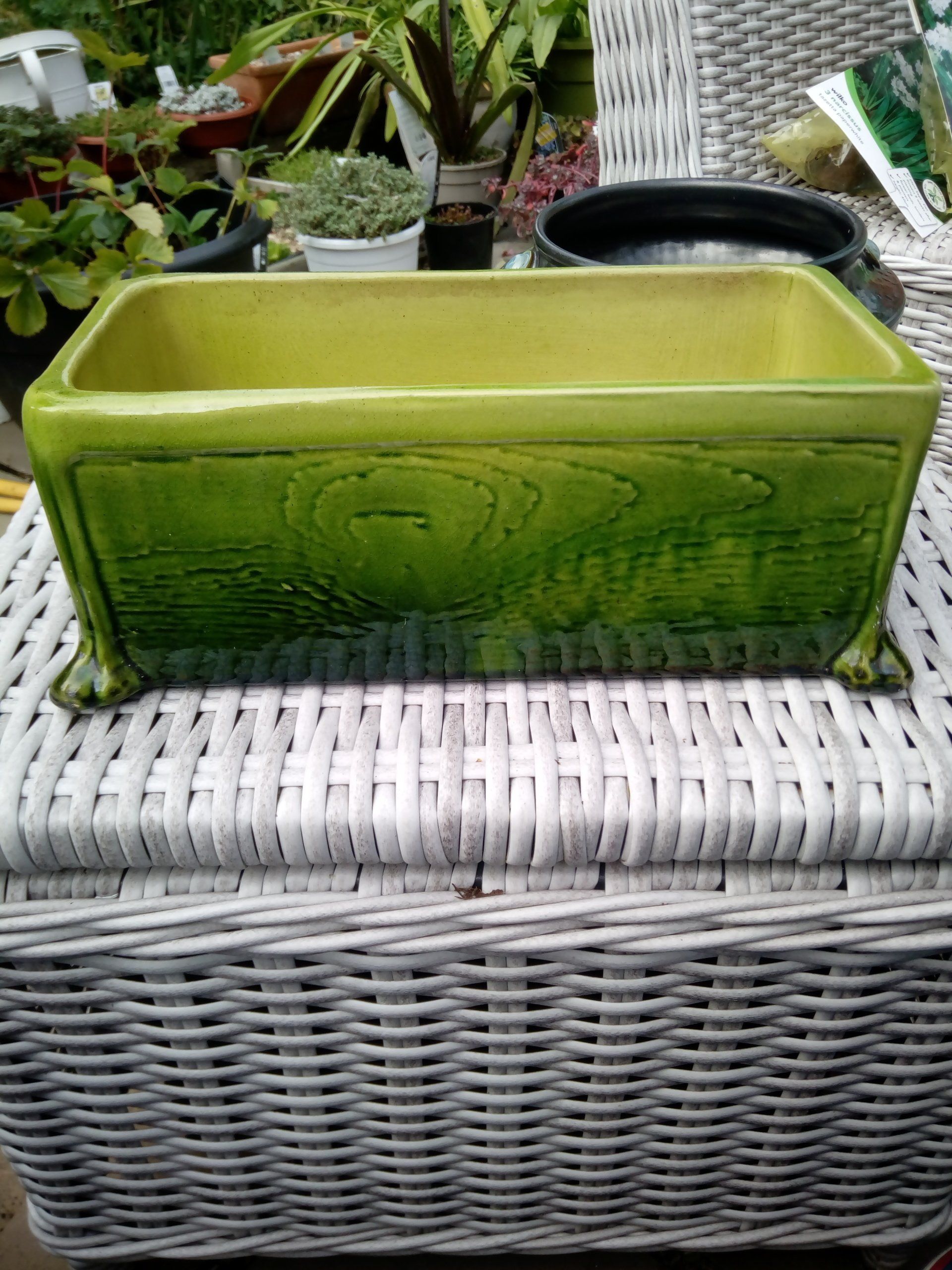 Green Ceramic Trough to Grow Paperwhite Narcissus in
