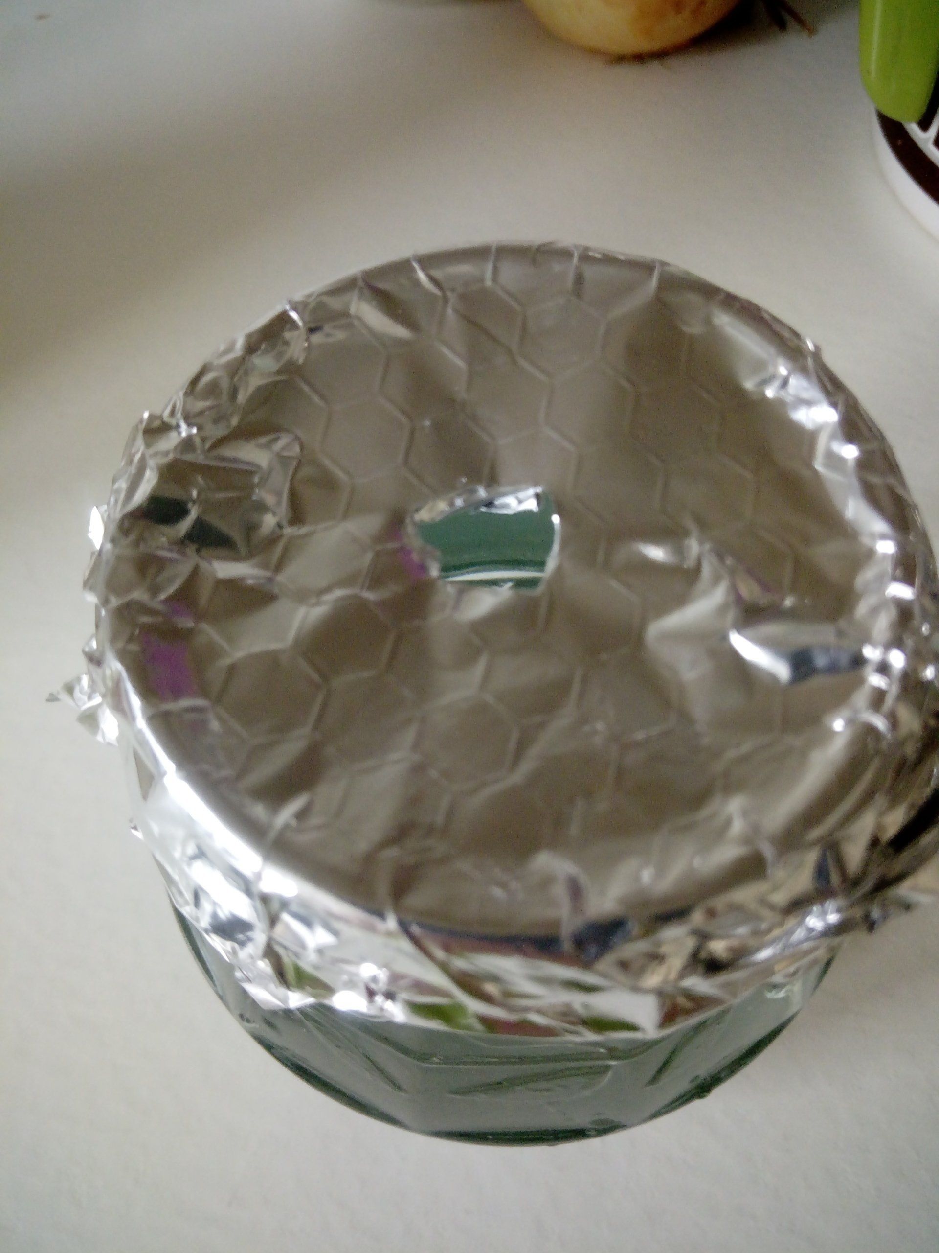 Foil cover over a jar of water for an African Violet, Saintpaulia Leaf Cutting