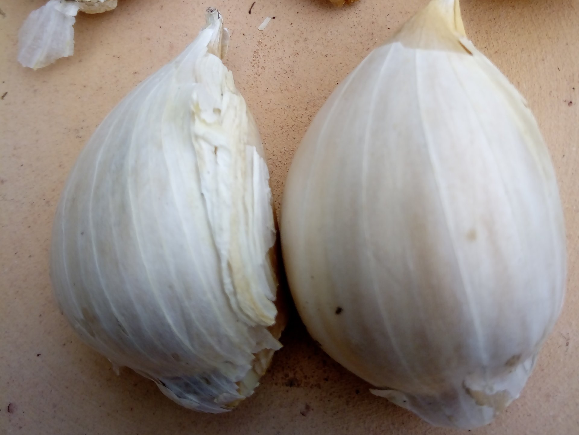 Air Purifying Houseplants