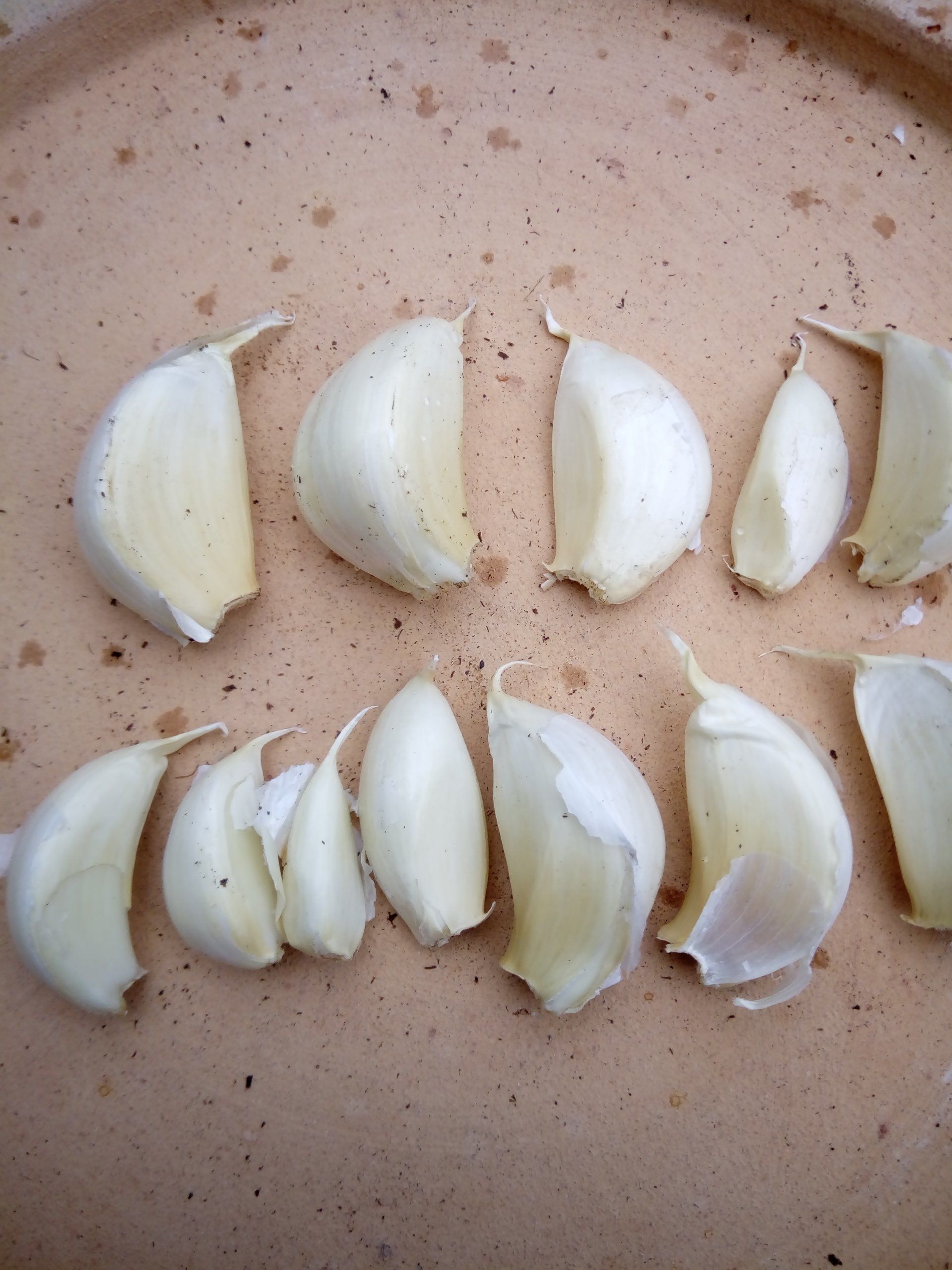 Garlic Wight Cristo Cloves