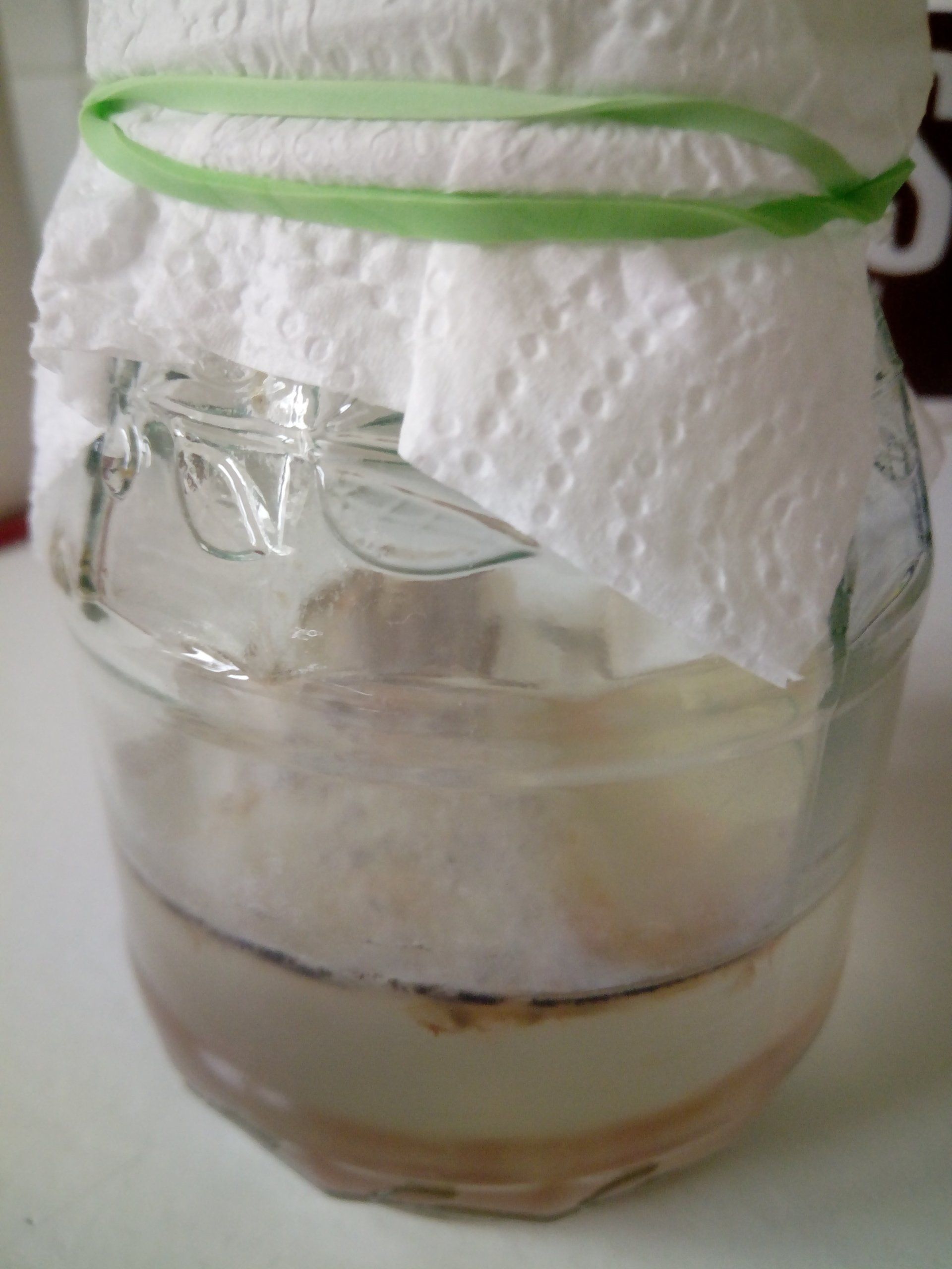 Fermenting Tomato Seeds in a Jar covered with a Kitchen Towel Lid