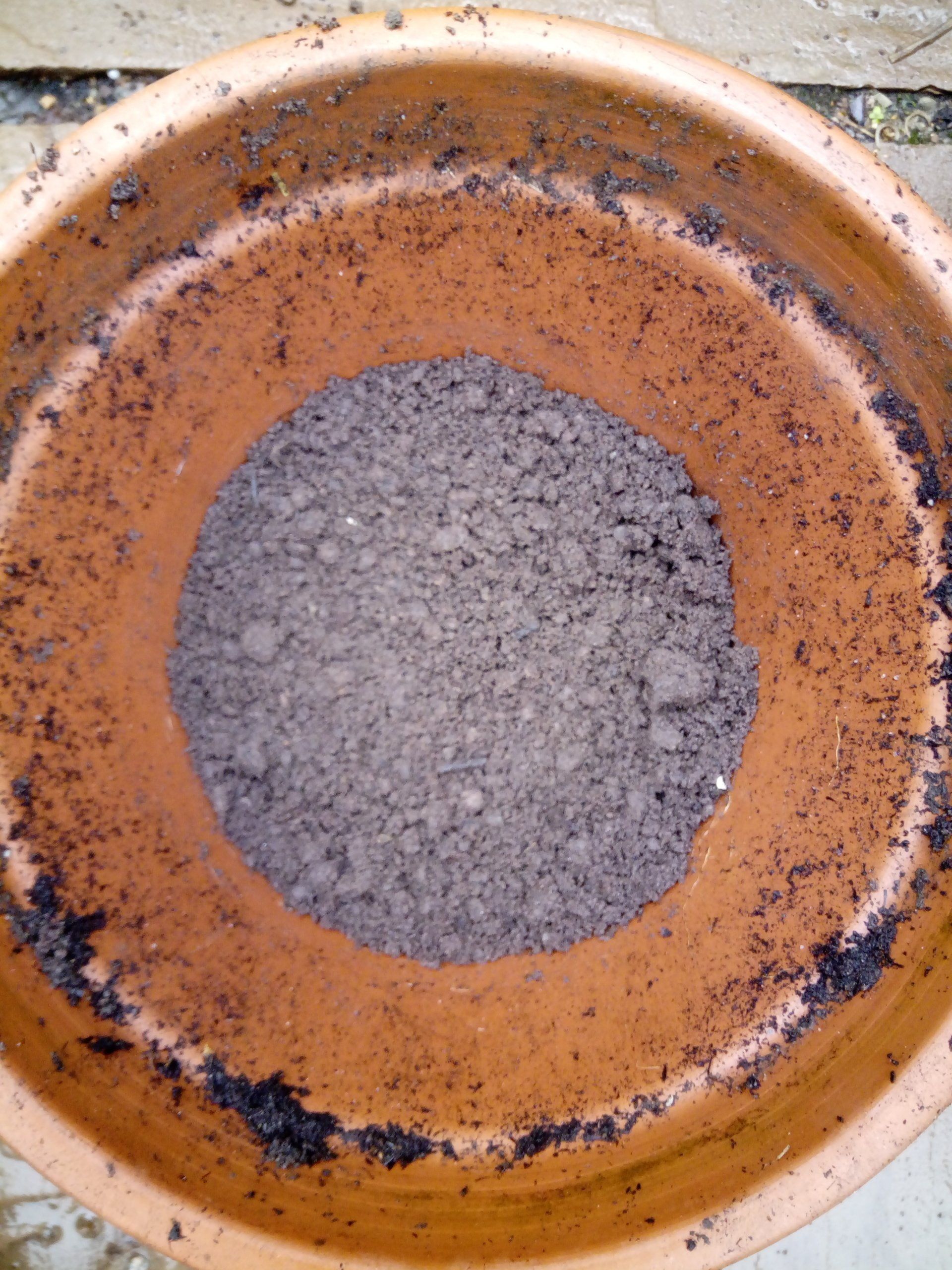 John Innes No 2 Compost in the bottom of a terracotta pot