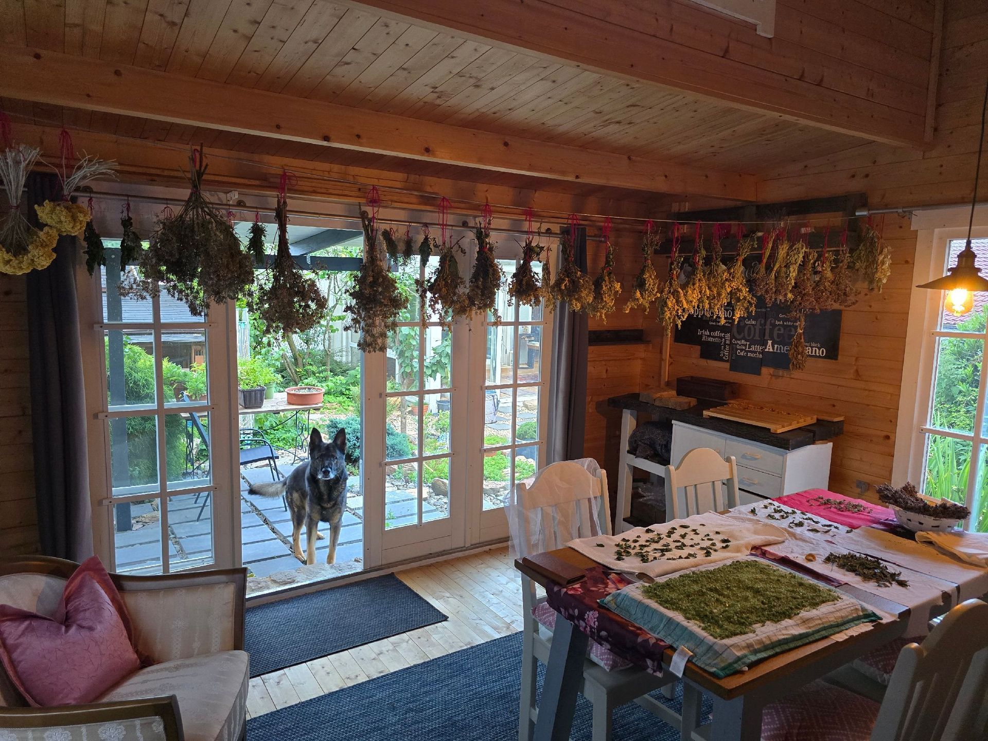 Gartenhaus mit Wildkraeutern die zum trocknen aufgehangen werden.