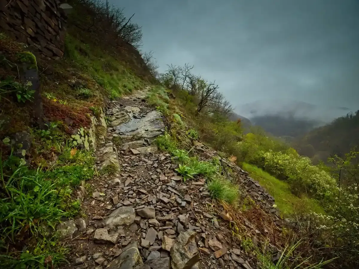 Kräuterwanderung auf einem steilen Weg durch die wilden Weinberge