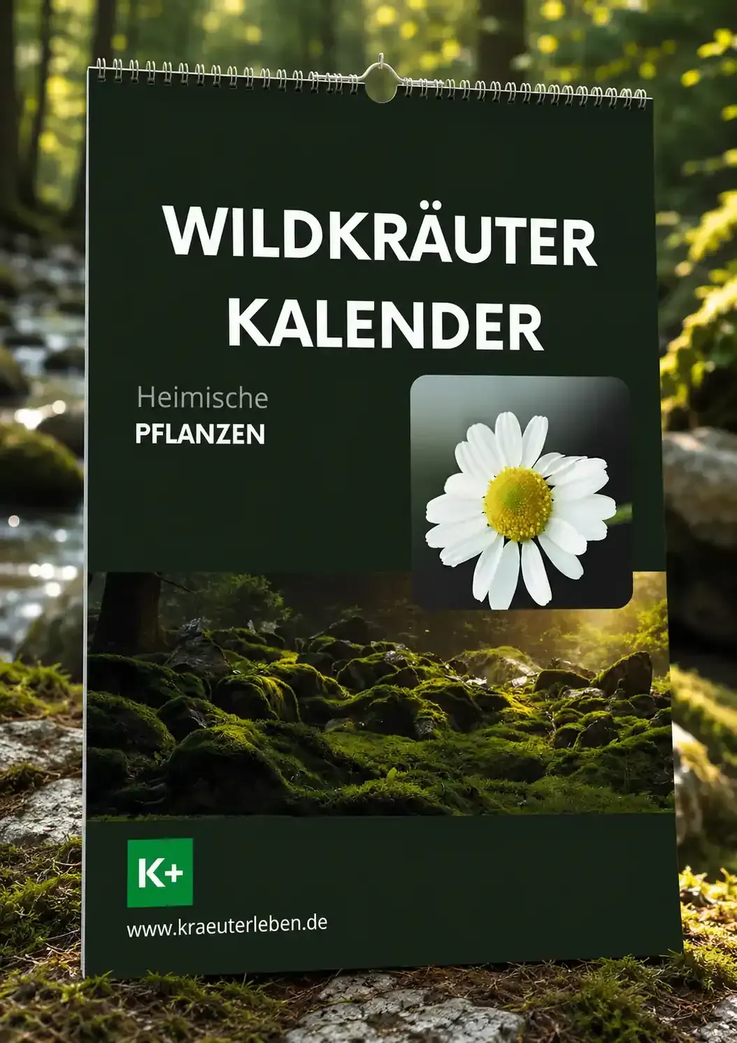 Kalender