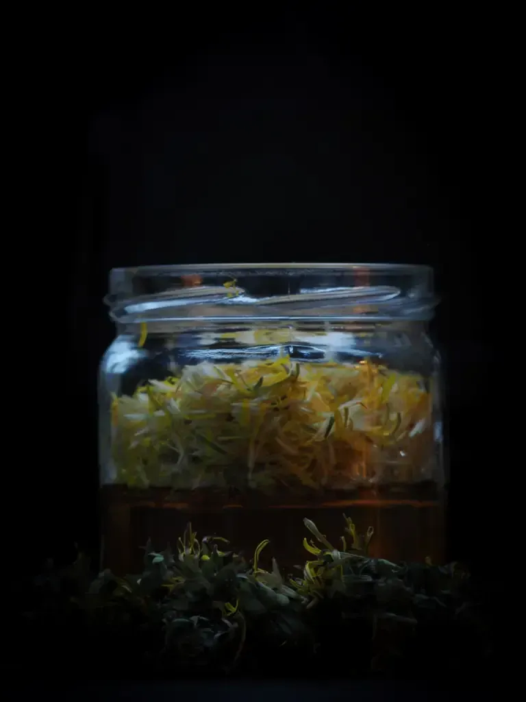 Löwenzahnhonig im Glas mit Löwenzahnblüten