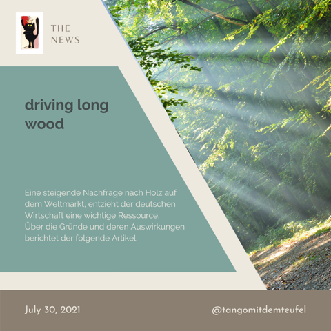 Warum mit Holz spekuliert wird