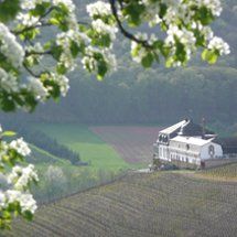 Alle Weingüter