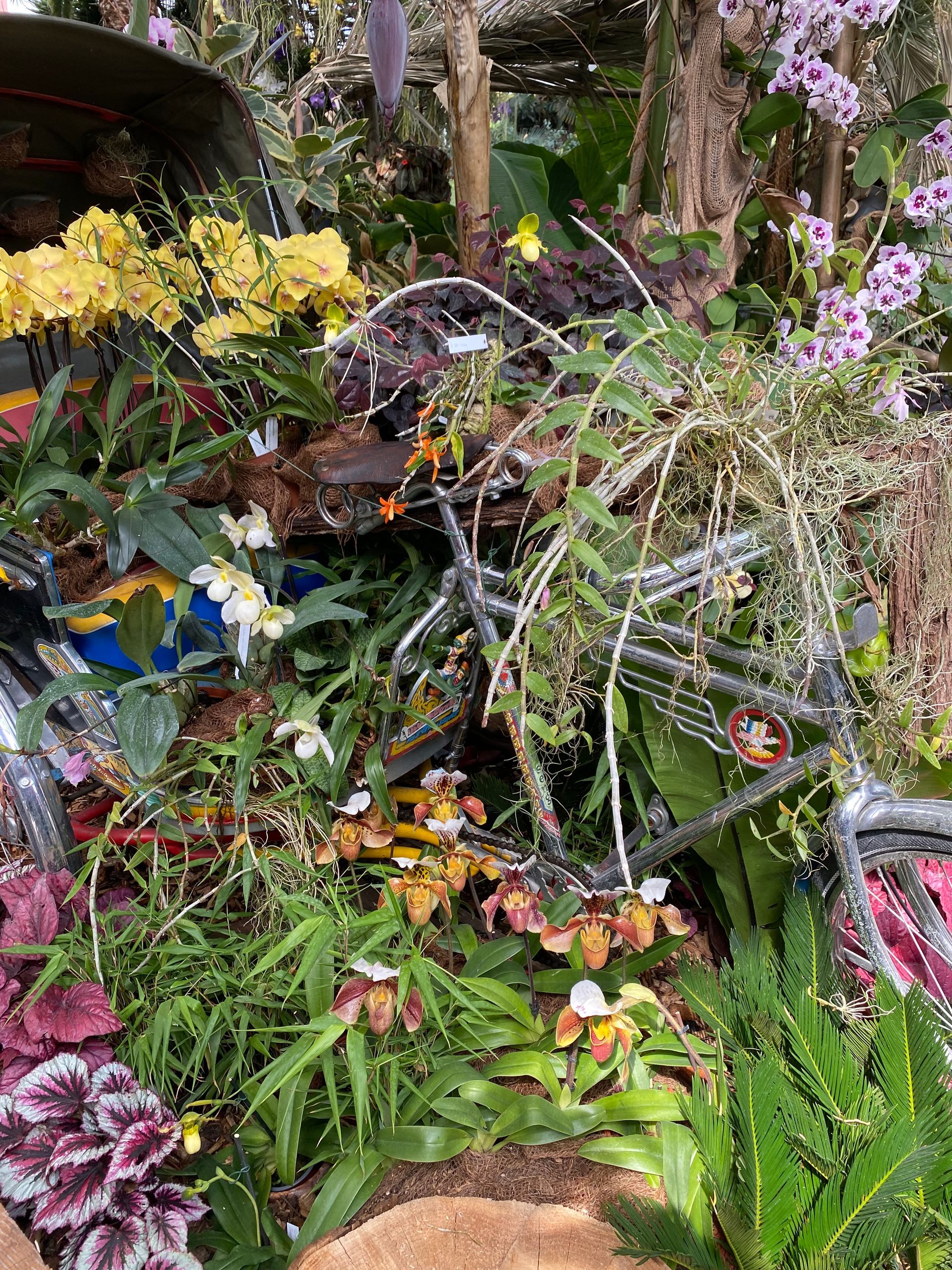 Bunte herbstliche Blumen