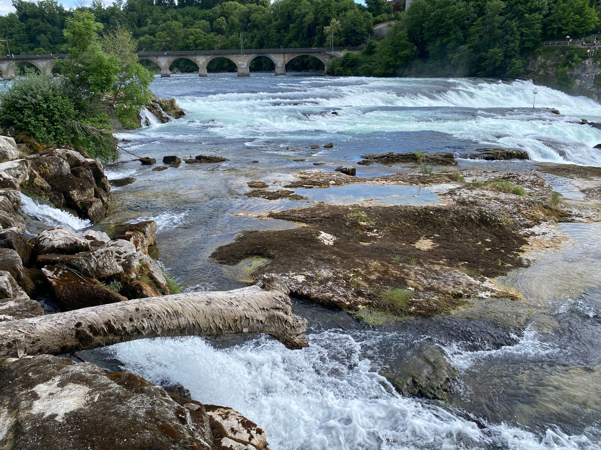 Baumstamm im Fluss, kleiner Wasserfall, Brücke am Horizont