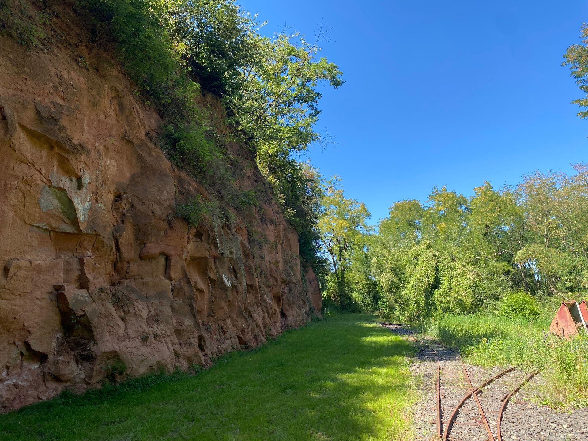 Grünes Gras im Schatten eines Bergs, Pfad führt zum Wald am Horizont. Sonniger Tag, blauer Himmel