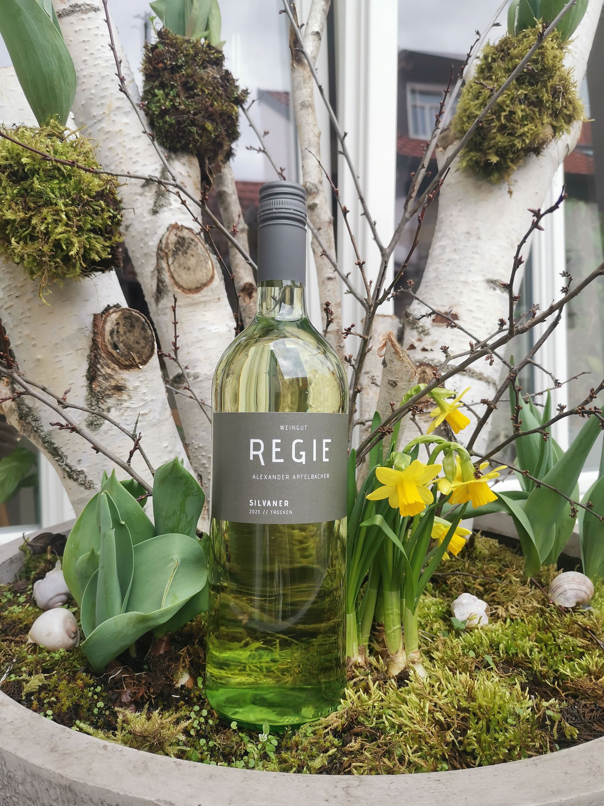 Die neuen Jahrgänge werden gefüllt, etikettiert und in Kartos verpackt. Im Weingut Regie geht das fast automatisch.