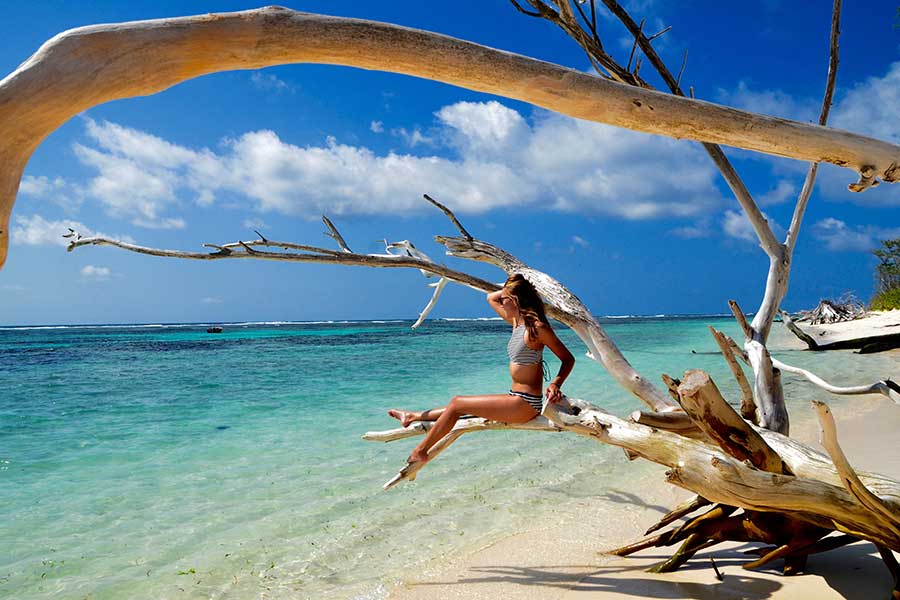 Woman sitting on driftwood branch on a tropical beach with clear turquoise water