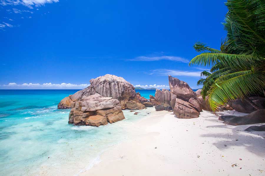For one night, an unchanged beauty with a single stroke of the wings! We see paradisiacal beaches in The Seychelles while enjoying a vacation package, as pure as uninhabited, against a background of Hollywood cliffs. For an all-inclusive couple package, go to Seychelles! Earthly paradise, unique experience, unforgettable trip... When we talk about the Seychelles, the compliments are pouring in.