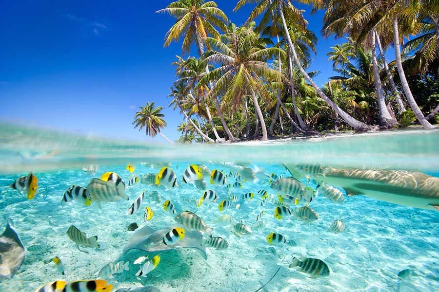 Maldives holiday packages from South Africa Maldives holiday packages from South Africa