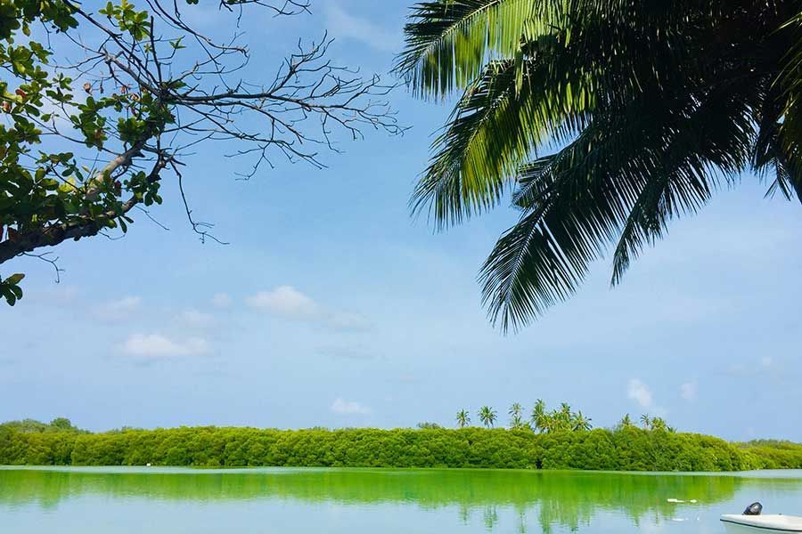 The Maldives Maldives travel package