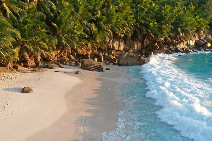 Aerial view of tropical sandy beach with palm trees and turquoise ocean waves