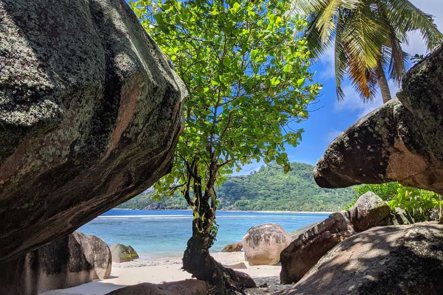 Large granite boulders framing a tree on a tropical beach with blue sea Large granite boulders framing a tree on a tropical beach with blue sea